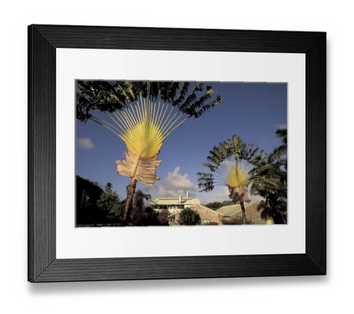 Framed Print : Caribbean, French West Indies, Martinique Le Francois; Habitation Clement; rum Framed Print : Caribbean, French West Indies, Martinique Le Francois; Habitation Clement; rum