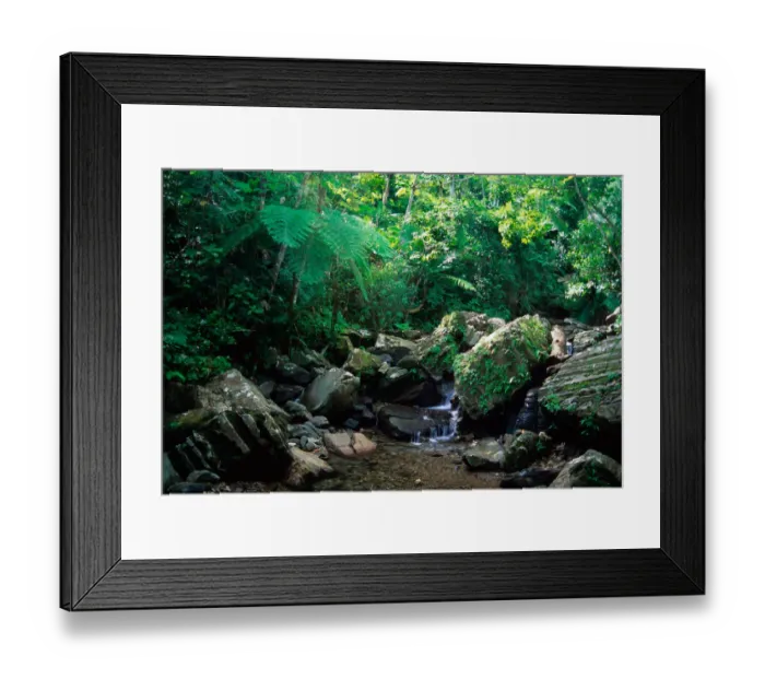 Framed Print : Caribbean, Puerto Rico, El Yunque. A water fall in the El Yunque rain forest Framed Print : Caribbean, Puerto Rico, El Yunque. A water fall in the El Yunque rain forest