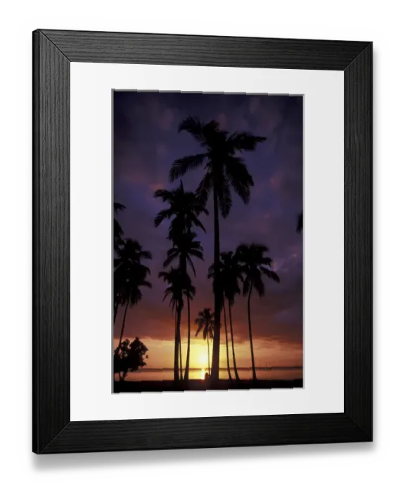 Framed Print : CARIBBEAN, Puerto Rico Palm trees at sunset Framed Print : CARIBBEAN, Puerto Rico Palm trees at sunset