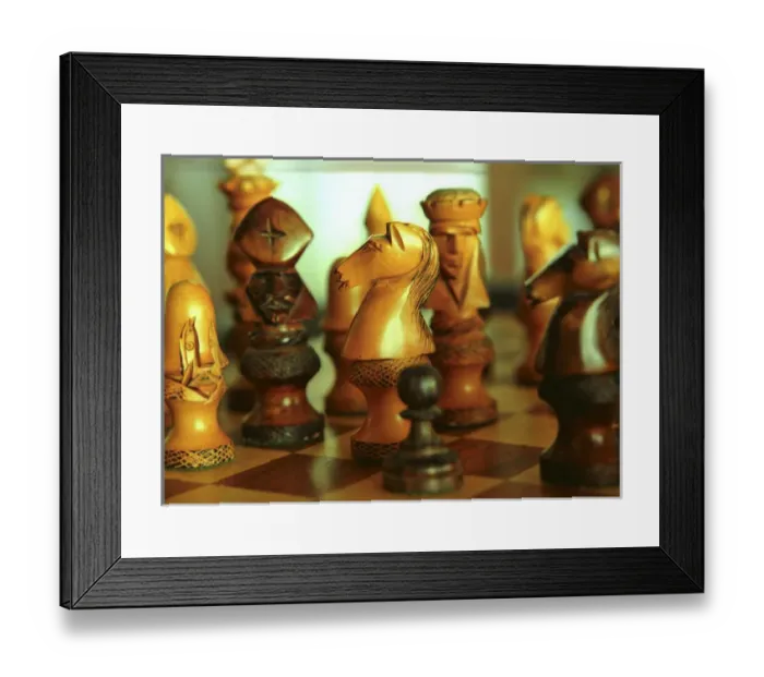 Framed Print : Caribbean, Puerto Rico, Rincon, Horned Dorsett Framed Print : Caribbean, Puerto Rico, Rincon, Horned Dorsett