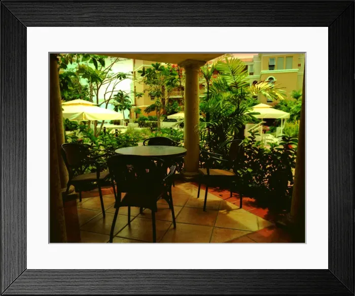 Framed Print : Caribbean, Puerto Rico, Rincon, Horned Dorsett, Rincon Beach Resort