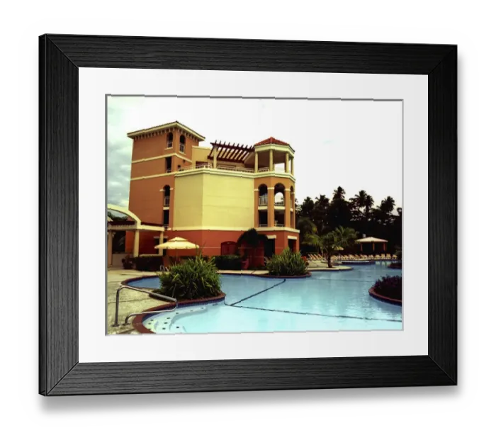 Framed Print : Caribbean, Puerto Rico, Rincon, Horned Dorsett, Rincon Beach Resort Framed Print : Caribbean, Puerto Rico, Rincon, Horned Dorsett, Rincon Beach Resort