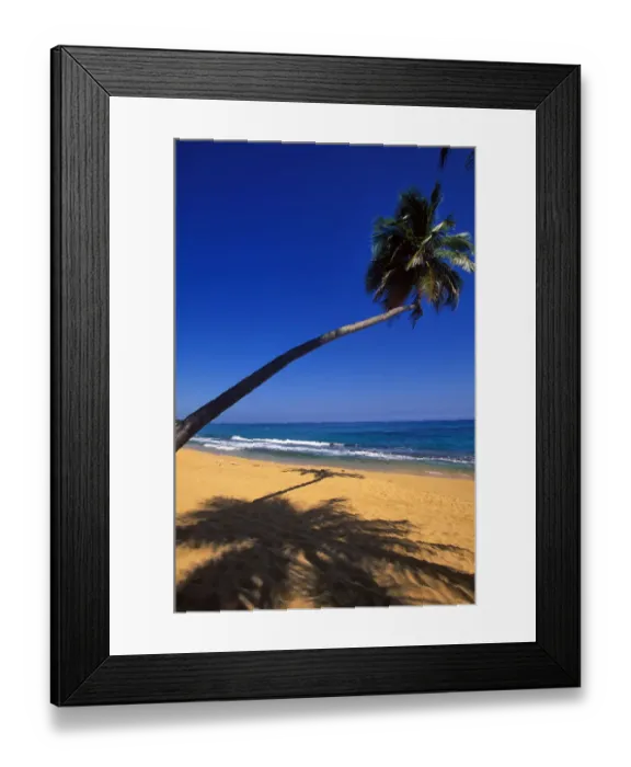 Framed Print : Caribbean, Puerto Rico, San Juan, Isla Verde, Palm tree lined beach Framed Print : Caribbean, Puerto Rico, San Juan, Isla Verde, Palm tree lined beach
