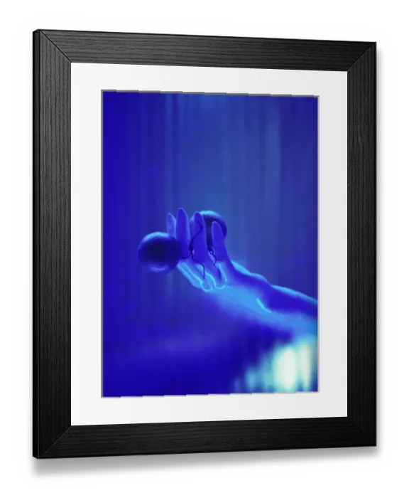 Framed Print : Caribbean, Puerto Rico, San Juan, Water Club, Tangerine restaurant Framed Print : Caribbean, Puerto Rico, San Juan, Water Club, Tangerine restaurant