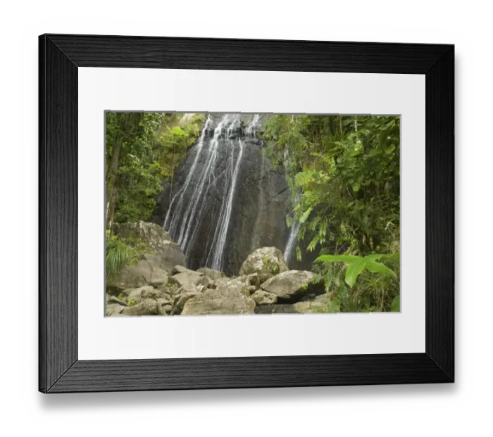 Framed Print : Caribbean, Puerto Rico, El Yunque rain forest, Caribbean National Forest. La Coca Falls Framed Print : Caribbean, Puerto Rico, El Yunque rain forest, Caribbean National Forest. La Coca Falls