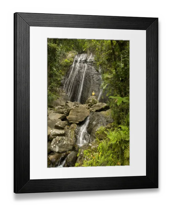 Framed Print : Caribbean, Puerto Rico, El Yunque rain forest, Caribbean National Forest. La Coca Falls Framed Print : Caribbean, Puerto Rico, El Yunque rain forest, Caribbean National Forest. La Coca Falls