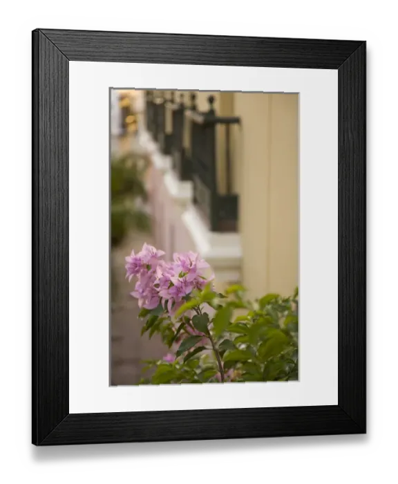 Framed Print : Caribbean, Puerto Rico, Old San Juan. Flowers and wrought-iron balconies Framed Print : Caribbean, Puerto Rico, Old San Juan. Flowers and wrought-iron balconies