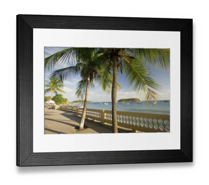 Framed Print : Caribbean, Puerto Rico, Vieques, Esperanza. Malecon (boardwalk) with palm trees Framed Print : Caribbean, Puerto Rico, Vieques, Esperanza. Malecon (boardwalk) with palm trees