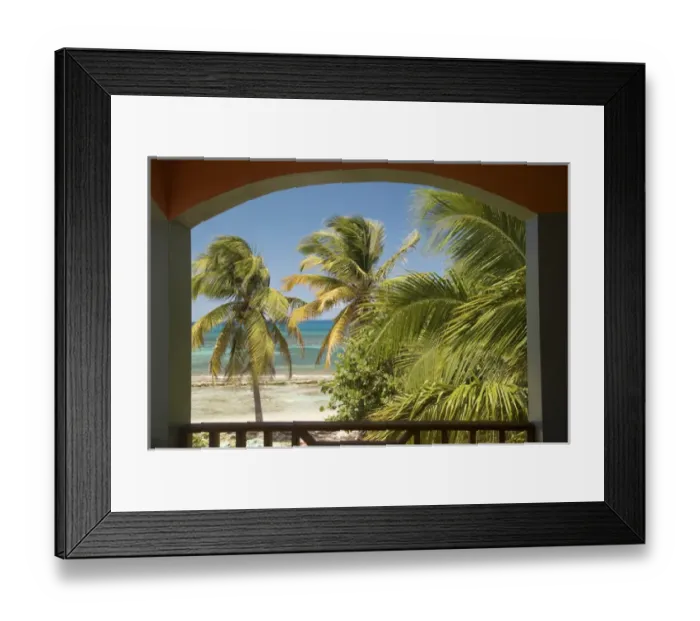 Framed Print : Caribbean, Puerto Rico, Vieques. Caribbean, beach and palm trees, viewed from porch of house  /  hotel