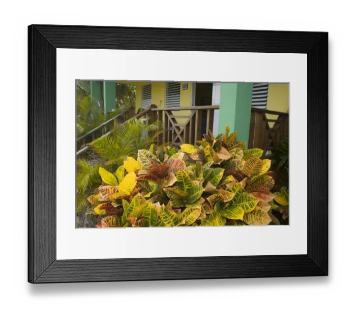 Framed Print : Caribbean, Puerto Rico, Vieques. Hotel. PR