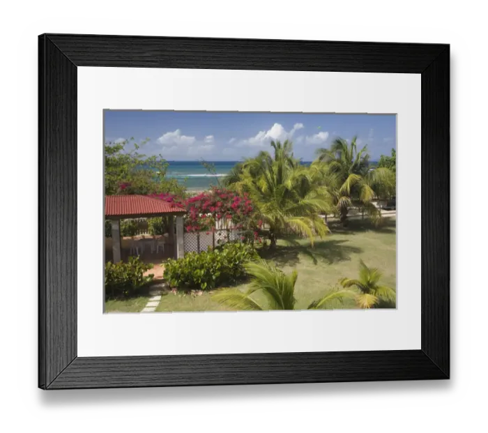 Framed Print : Caribbean, Puerto Rico, Vieques. Caribbean, garden and palm trees, viewed from porch Framed Print : Caribbean, Puerto Rico, Vieques. Caribbean, garden and palm trees, viewed from porch