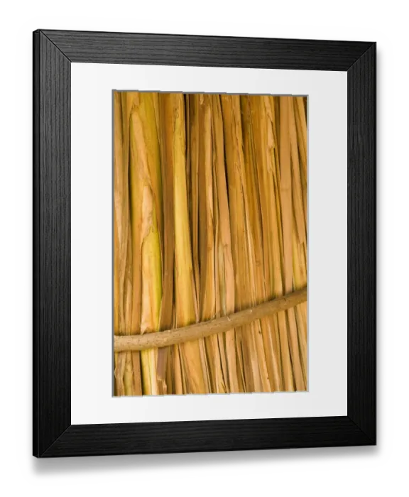 Framed Print : United States, Puerto Rico, Ponce. Straw hut at Tibes Indian Ceremonial Center Framed Print : United States, Puerto Rico, Ponce. Straw hut at Tibes Indian Ceremonial Center