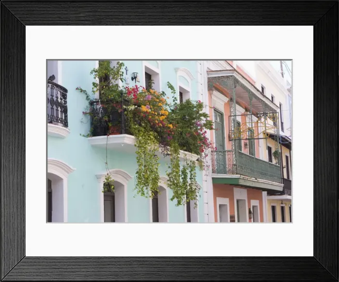 Framed Print : A balcony garden above the streets of Old San Juan, Puerto Rico