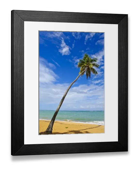 Framed Print : Puerto Rico. Tres Palmitas Beach Puerto Rico Framed Print : Puerto Rico. Tres Palmitas Beach Puerto Rico