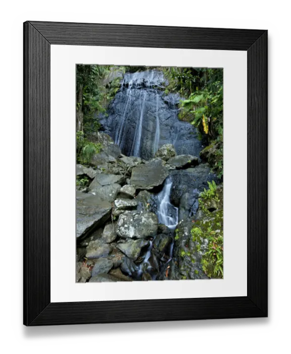 Framed Print : La Coca waterfall, El Yunque NF. Puerto Rico Framed Print : La Coca waterfall, El Yunque NF. Puerto Rico