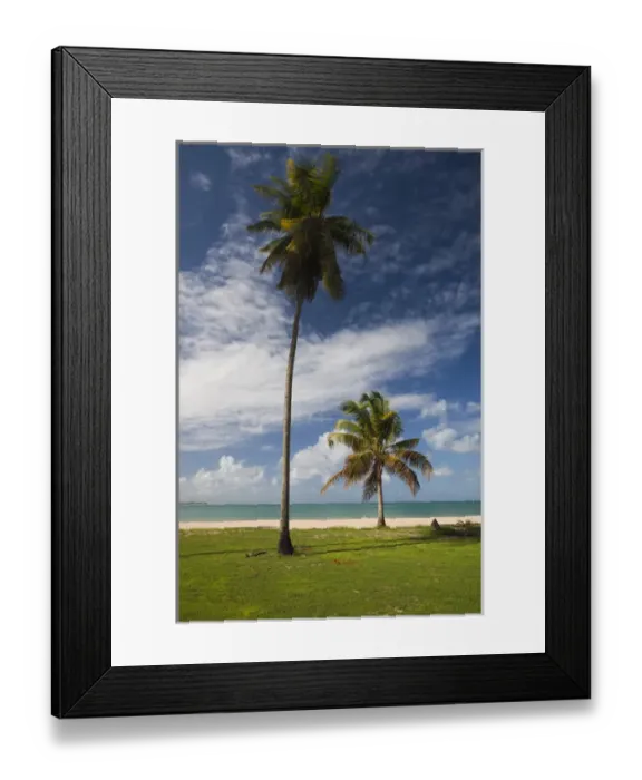 Framed Print : Puerto Rico, East Coast, Luquillo, Playa Luquillo Beach, palms