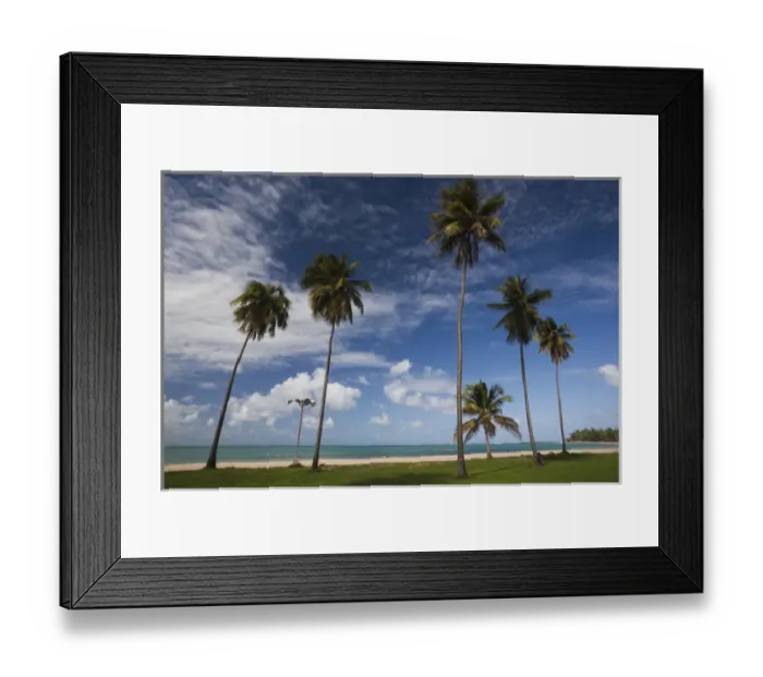 Framed Print : Puerto Rico, East Coast, Luquillo, Playa Luquillo Beach, palms Framed Print : Puerto Rico, East Coast, Luquillo, Playa Luquillo Beach, palms