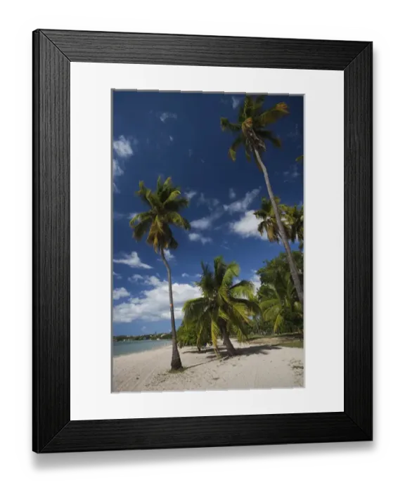 Framed Print : Puerto Rico, West Coast, Boqueron, Balneario Boqueron beach Framed Print : Puerto Rico, West Coast, Boqueron, Balneario Boqueron beach