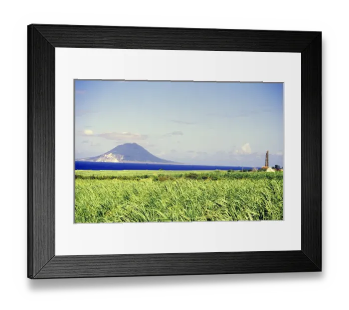 Framed Print : Caribbean, St. Kitts. Crops