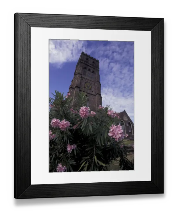 Framed Print : CARIBBEAN, St. Kitts Tropical flowers, old brick church tower Framed Print : CARIBBEAN, St. Kitts Tropical flowers, old brick church tower