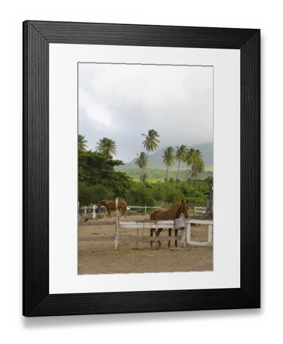 Framed Print : Horse riding along the equestrian beach trails Framed Print : Horse riding along the equestrian beach trails