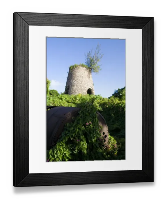 Framed Print : Ruins of the Alexander Hamilton Estate Plantation