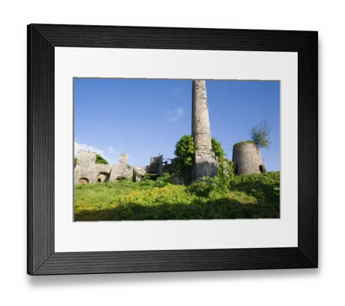 Framed Print : Ruins of the Alexander Hamilton Estate Plantation Framed Print : Ruins of the Alexander Hamilton Estate Plantation