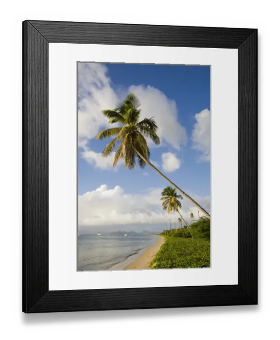 Framed Print : Double Duese Beach, at Pinneys Beach