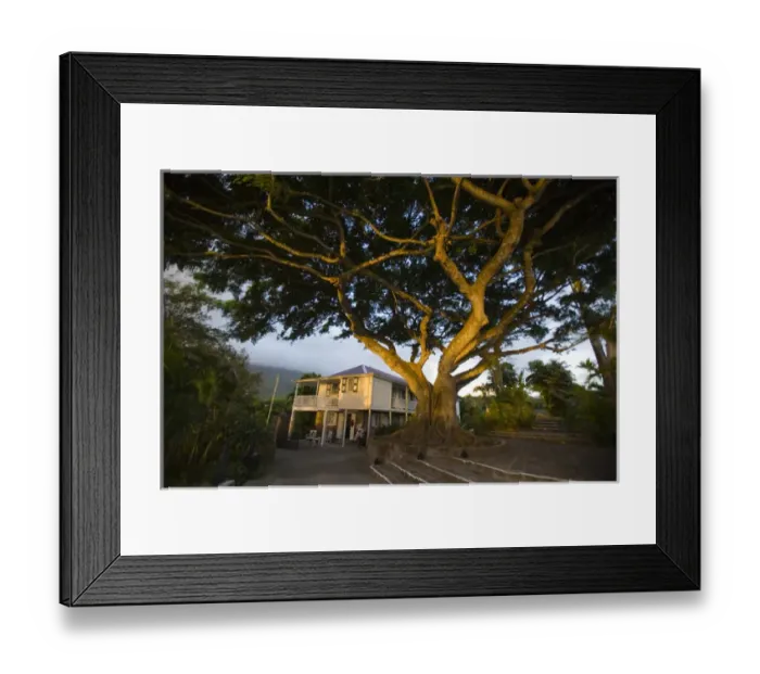 Framed Print : Montpelier Plantation Resort Framed Print : Montpelier Plantation Resort