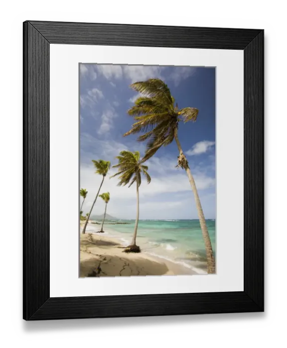 Framed Print : Nisbet Plantation Beach Resort Framed Print : Nisbet Plantation Beach Resort