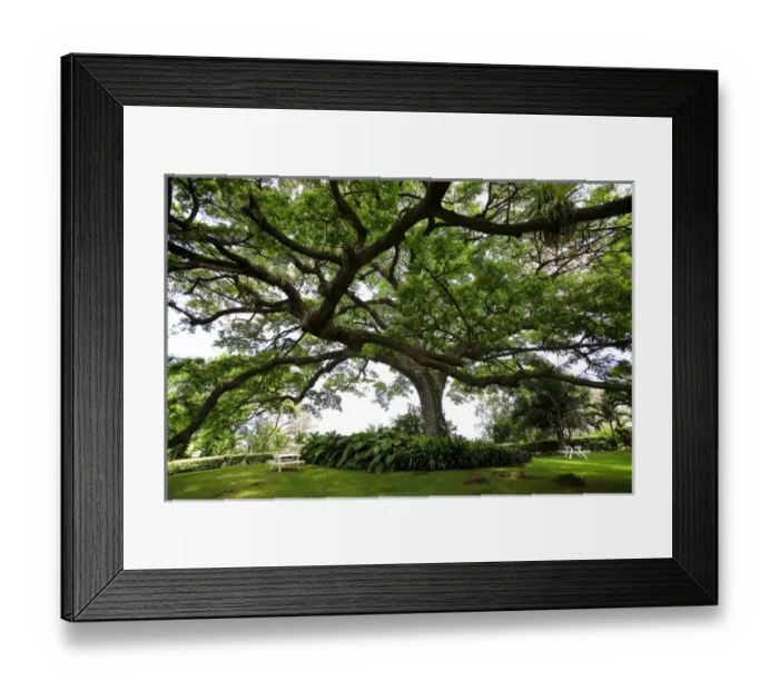 Framed Print : Romney Manor historic plantation, batik designs, St Kitts, Caribbean