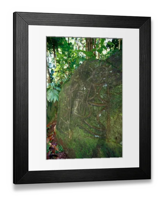 Framed Print : Caribbean, BWI, St. Lucia, Aly Brown, Stonefield Estate, Indian petroglyphs Framed Print : Caribbean, BWI, St. Lucia, Aly Brown, Stonefield Estate, Indian petroglyphs