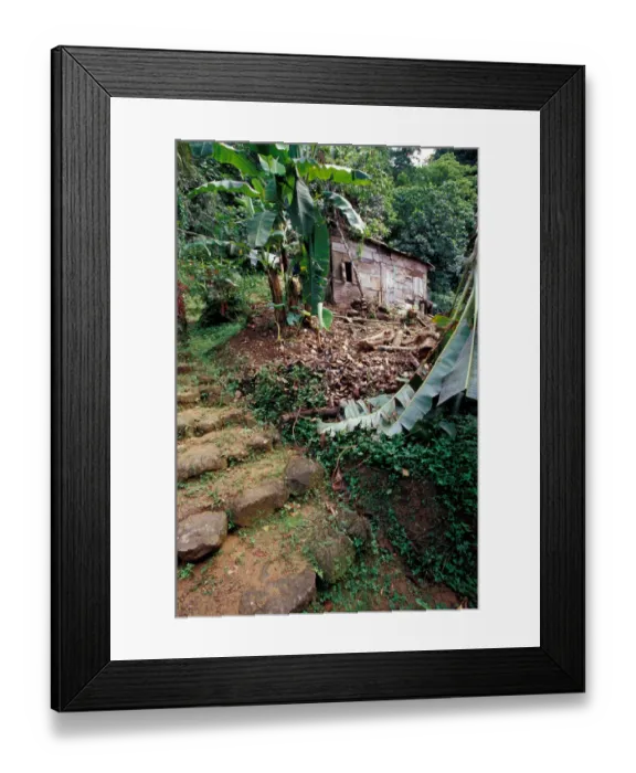 Framed Print : Caribbean, BWI, St. Lucia, Mill ruins at Pyke waterfall Framed Print : Caribbean, BWI, St. Lucia, Mill ruins at Pyke waterfall