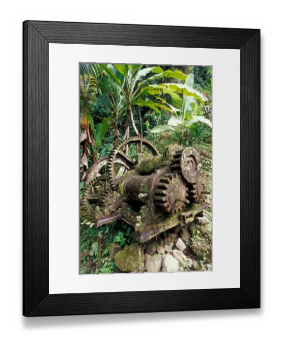 Framed Print : Caribbean, BWI, St. Lucia, Mill ruins at Pyke waterfall Framed Print : Caribbean, BWI, St. Lucia, Mill ruins at Pyke waterfall