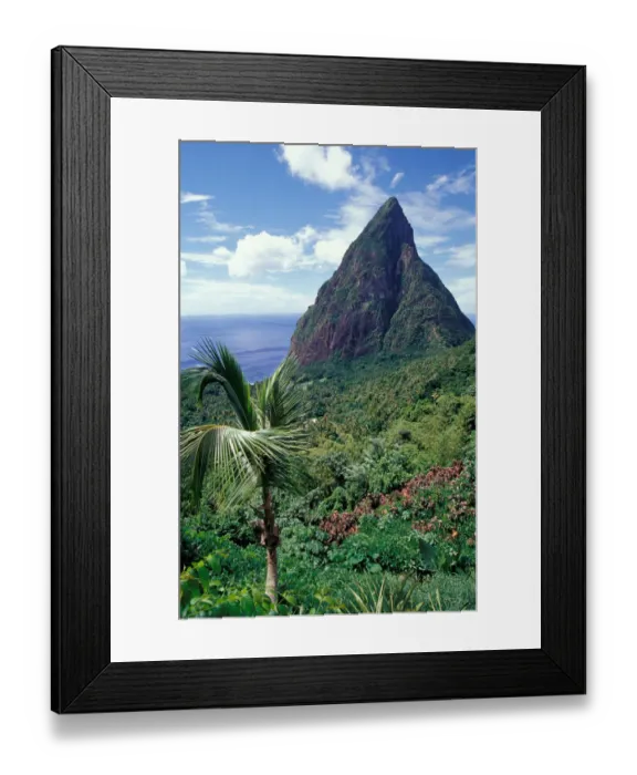 Framed Print : Caribbean, BWI, St. Lucia, View of the Pitons from Ladera Resort Framed Print : Caribbean, BWI, St. Lucia, View of the Pitons from Ladera Resort