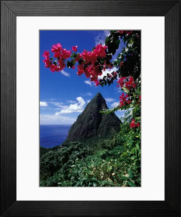 Framed Print : Caribbean, BWI, St. Lucia, View of the Pitons from Ladera Resort Framed Print : Caribbean, BWI, St. Lucia, View of the Pitons from Ladera Resort
