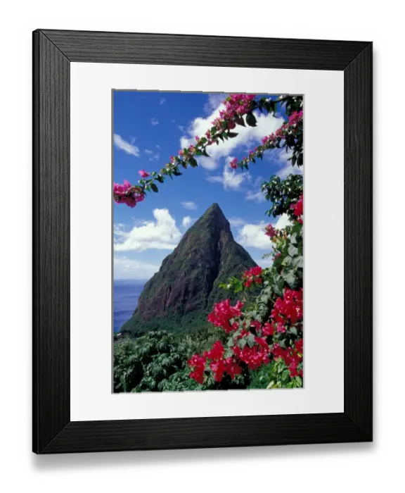 Framed Print : Caribbean, BWI, St. Lucia, View of the Pitons from Ladera Resort Framed Print : Caribbean, BWI, St. Lucia, View of the Pitons from Ladera Resort