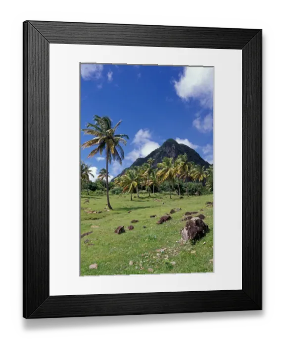 Framed Print : Caribbean, BWI, St. Lucia, Scenic views along the Pitons Natural Trail Framed Print : Caribbean, BWI, St. Lucia, Scenic views along the Pitons Natural Trail