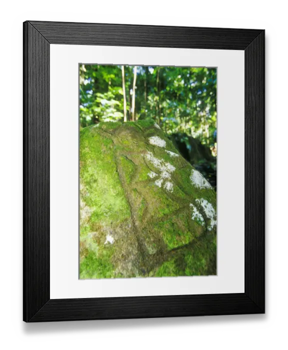 Framed Print : Indian petroglyphs at Stonefield Estate, St Lucia, Caribbean Framed Print : Indian petroglyphs at Stonefield Estate, St Lucia, Caribbean