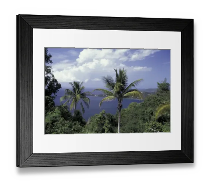 Framed Print : CARIBBEAN, St. Thomas Magens Beach through palm trees Framed Print : CARIBBEAN, St. Thomas Magens Beach through palm trees