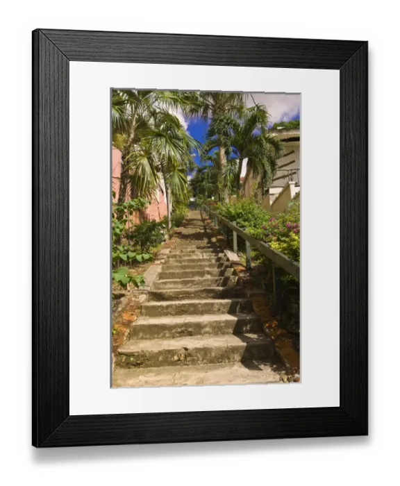 Framed Print : St. Thomas, US Virgin Islands Framed Print : St. Thomas, US Virgin Islands