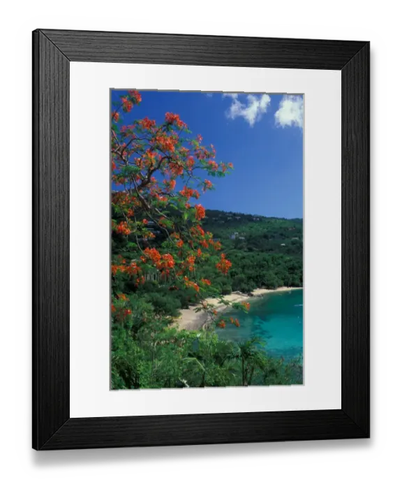 Framed Print : CARIBBEAN, St Thomas Hull Bay with flowers Framed Print : CARIBBEAN, St Thomas Hull Bay with flowers