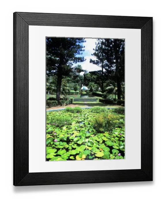 Framed Print : Kingstowns lush green Botanical Gardens in St. Vincent and the Grenadines