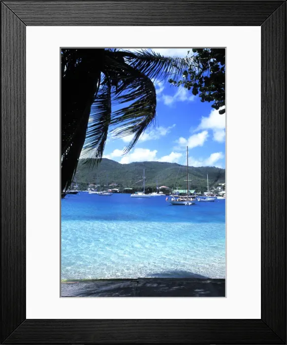 Framed Print : Harbor, palms, blue water at Port Elizabeth in Bequia, Grenadines Framed Print : Harbor, palms, blue water at Port Elizabeth in Bequia, Grenadines