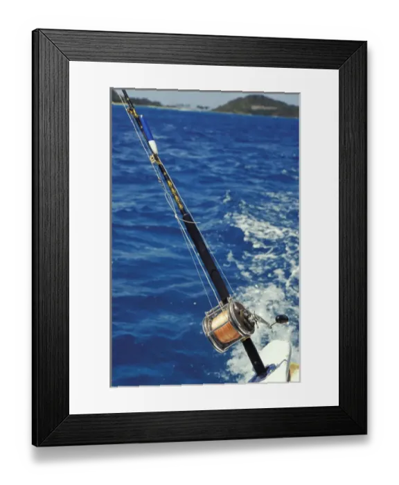 Framed Print : Caribbean, Grenadines, Tobago Cays. Fishing pole