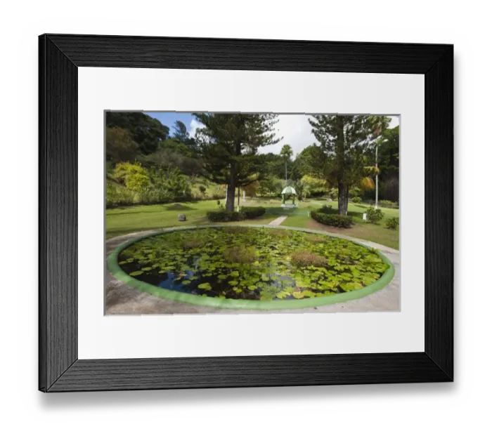 Framed Print : Kingstown Botanical gardens, St. Vincent & The Grenadines Framed Print : Kingstown Botanical gardens, St. Vincent & The Grenadines