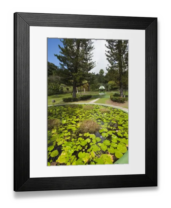 Framed Print : Kingstown Botanical gardens, St. Vincent & The Grenadines