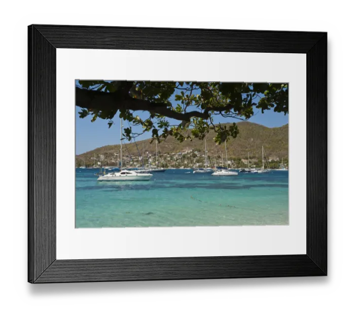 Framed Print : Port Elizabeth harbour, Bequia, St. Vincent & The Grenadines Framed Print : Port Elizabeth harbour, Bequia, St. Vincent & The Grenadines