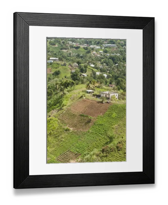 Framed Print : Mesopotamia Valley, St. Vincent & The Grenadines Framed Print : Mesopotamia Valley, St. Vincent & The Grenadines