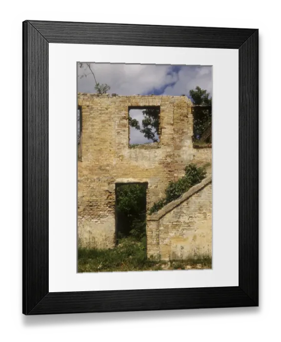 Framed Print : Caribbean: US Virgin Islands, St. Croix, Christiansted, abandoned building off of Hospital Road Framed Print : Caribbean: US Virgin Islands, St. Croix, Christiansted, abandoned building off of Hospital Road